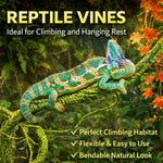 Bendable wire-core reptile vine close up detail