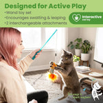 Catstages cat wand toy showing the stretchy cord and handle