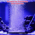 Quiet oxygen diffuser strip running inside a freshwater aquarium.