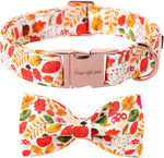 Unique Style Paws stylish plaid dog collar packaging and accessories view.