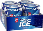 Dentyne Ice Peppermint portable go cup bottles ideal for travel and office desks