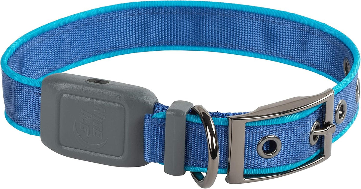 Nite Ize NiteDog collar lit up in the dark highlighting 360-degree optical fiber
