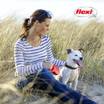 Metal snap hook attachment for dog harness or collar