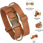 Didog small dog collar with metal quick release buckle