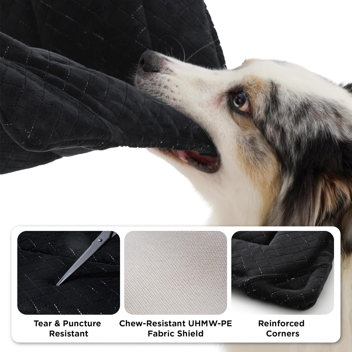 Texture detail of plush velvet dog bed surface