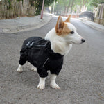 Authentic imported dog rain gear with comfortable flexible fit for pets