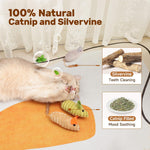 Potaroma chirping mouse toys for indoor cats demonstrating the compact size suited for chasing and biting.