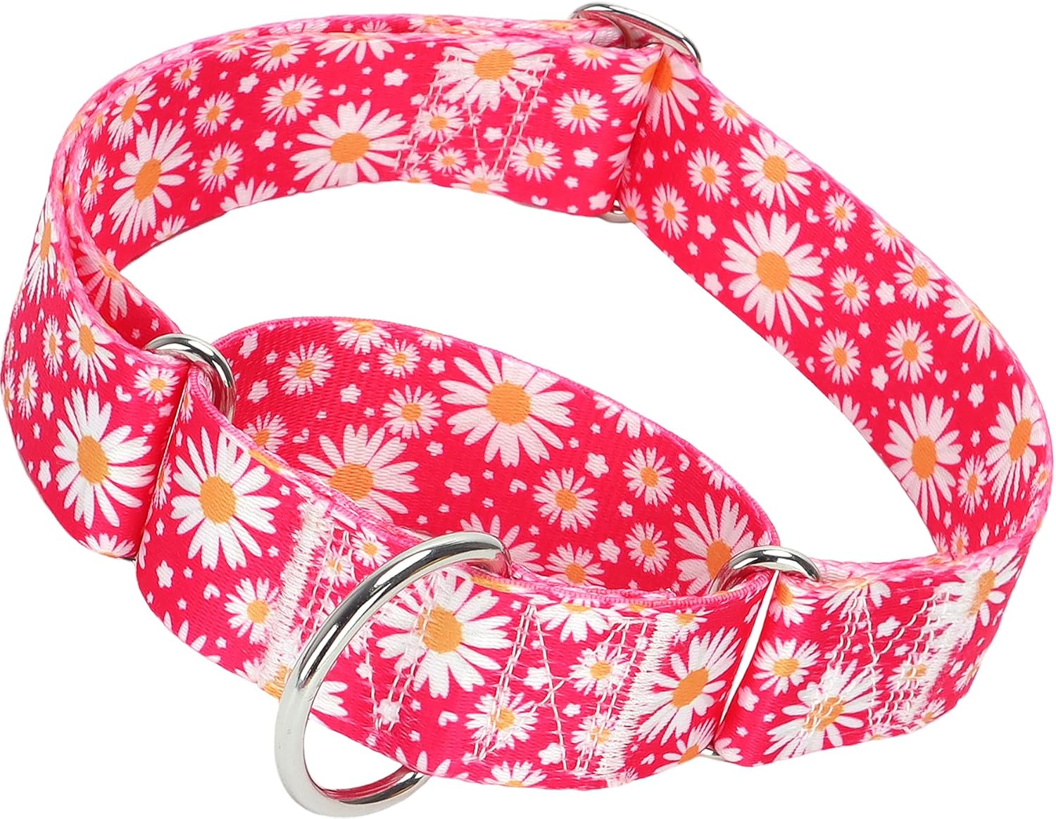 ONEFOJOJO martingale dog collar front view heavy duty training collar