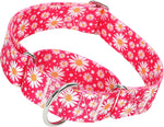 ONEFOJOJO martingale dog collar front view heavy duty training collar