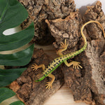 Gatuida reptile bark decoration pieces displaying moisture resistant qualities