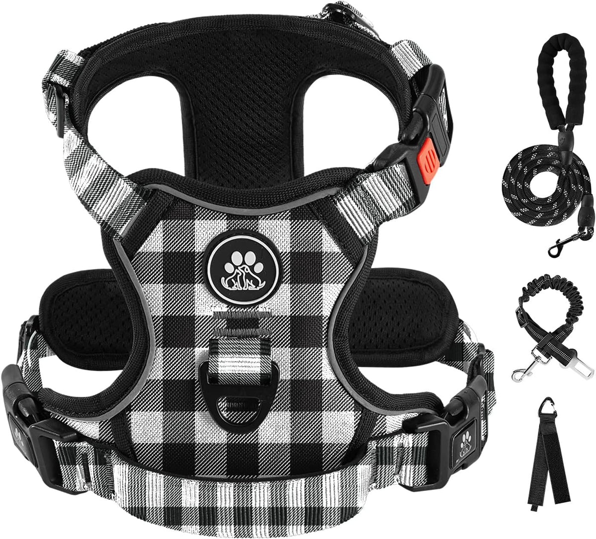 IVY&LANE No Pull Dog Harness for Small Dogs, Dog Vest Harness with Leash, Safety Belt and Storage Strap, Fully Adjustable Harness, 360 degrees Reflective Strip, Soft Handle (Purple, S) - Image 15