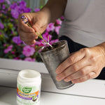 Gardener applying rooting hormone to plant stem cutting