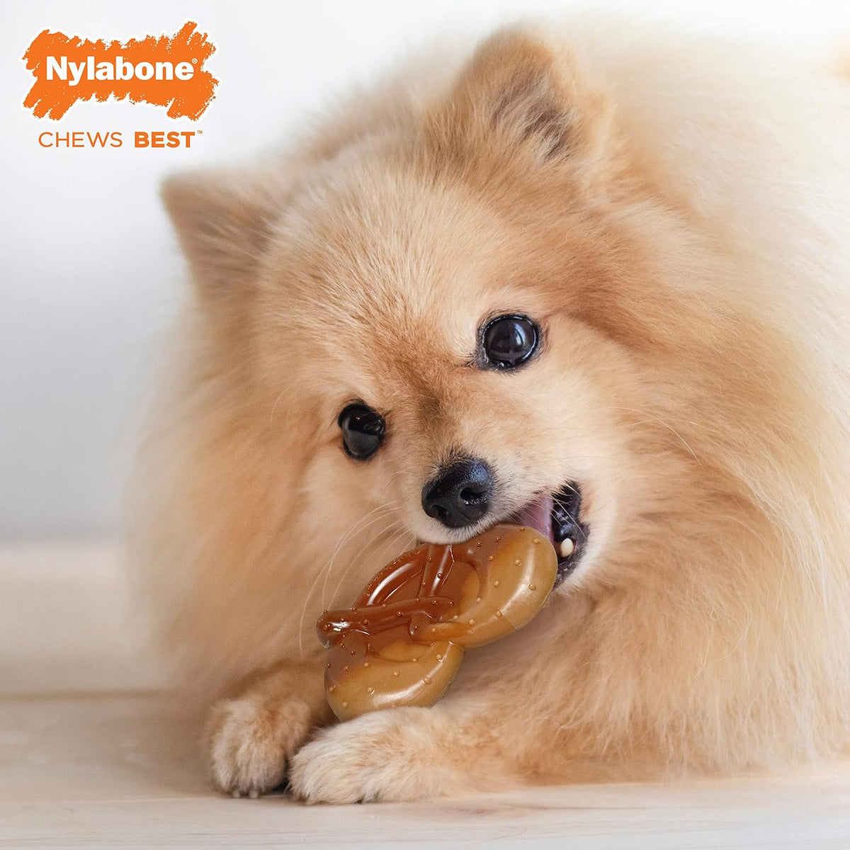 Nylabone pretzel dog toy showing textured dental nubs
