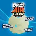 Dog playing with Chuckit! fetch ball outdoors
