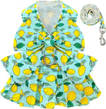 BAEJMJK Dog Dress Bowknot Harness Leash Set for Small Dogs Cats Daisy Floral Girl Dog Dresses Cute Puppy Princess Clothes Pet Doggy Outfits Spring Summer Breathable Dresses(Pink,Medium) - Image 10