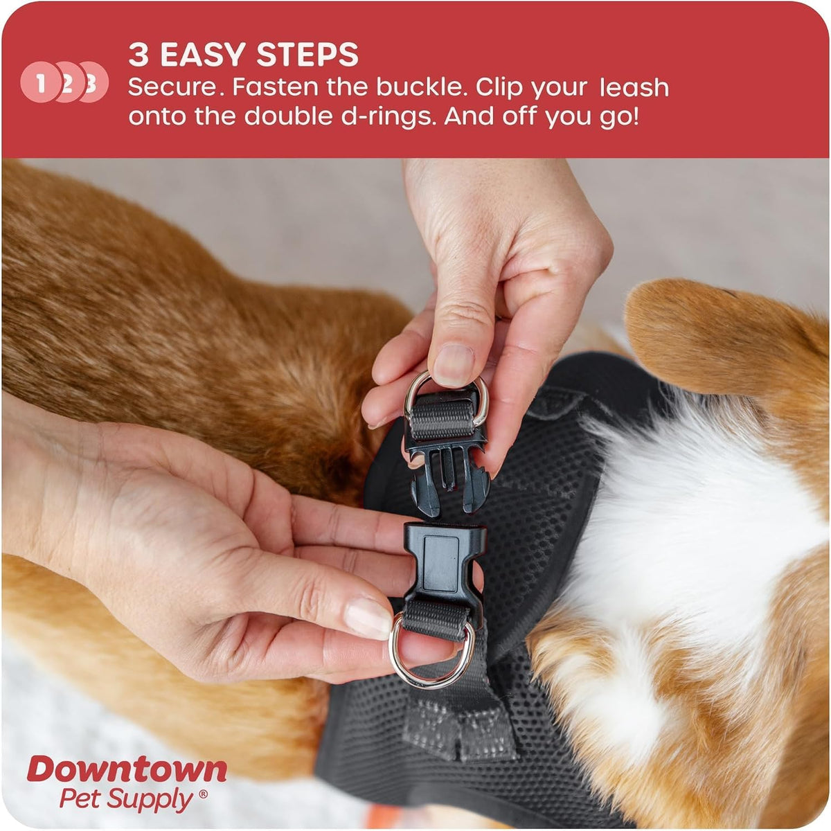 Downtown Pet Supply Step-in Dog Harness - No Pull, Adjustable Padded Mesh with Reflective Trim, Secure Buckle Strap - Comfortable & Breathable Small Dog Harness, X-Small, Donut - Image 13