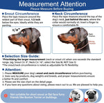 Premium imported dog training halter with cushioned nose band