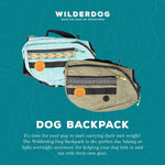 Premium imported dog backpack with back mounted leash D-ring attachment