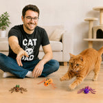 Catstages interactive cat toys assortment