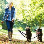 High visibility reflective twin dog training lead assembly laid flat