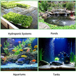 Pawfly aquatic bubble wall creator installed flat on the glass bottom of an aquarium.