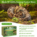 Hydrated and expanded Legigo reptile bedding inside a snake enclosure
