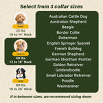 SpotOn premium satellite dog fence collar close up of contact points
