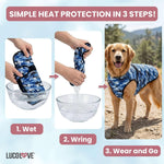 Dog enjoying summer walk wearing pink Lucolove cooling vest