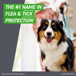 Three count pipettes of Frontline Plus flea treatment for dogs