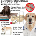 Soothing shea butter dog elbow moisturizer for cracked skin.