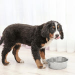 Spot rust resistant stainless steel pet feeding bowl top view
