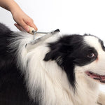Twellife long-tooth metal undercoat rake for dogs