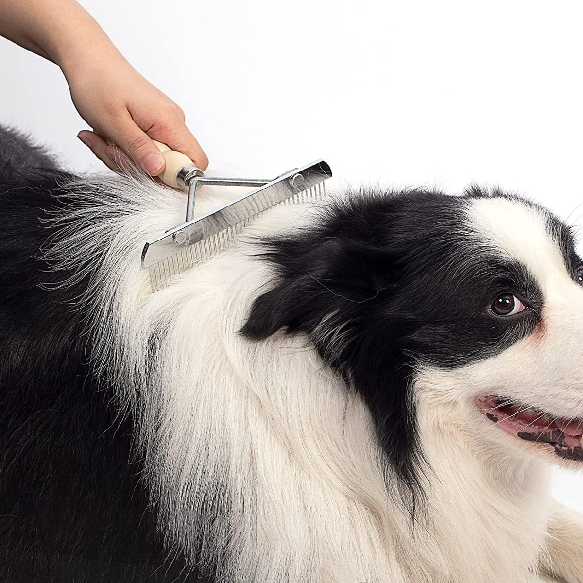 Twellife long-tooth metal undercoat rake for dogs