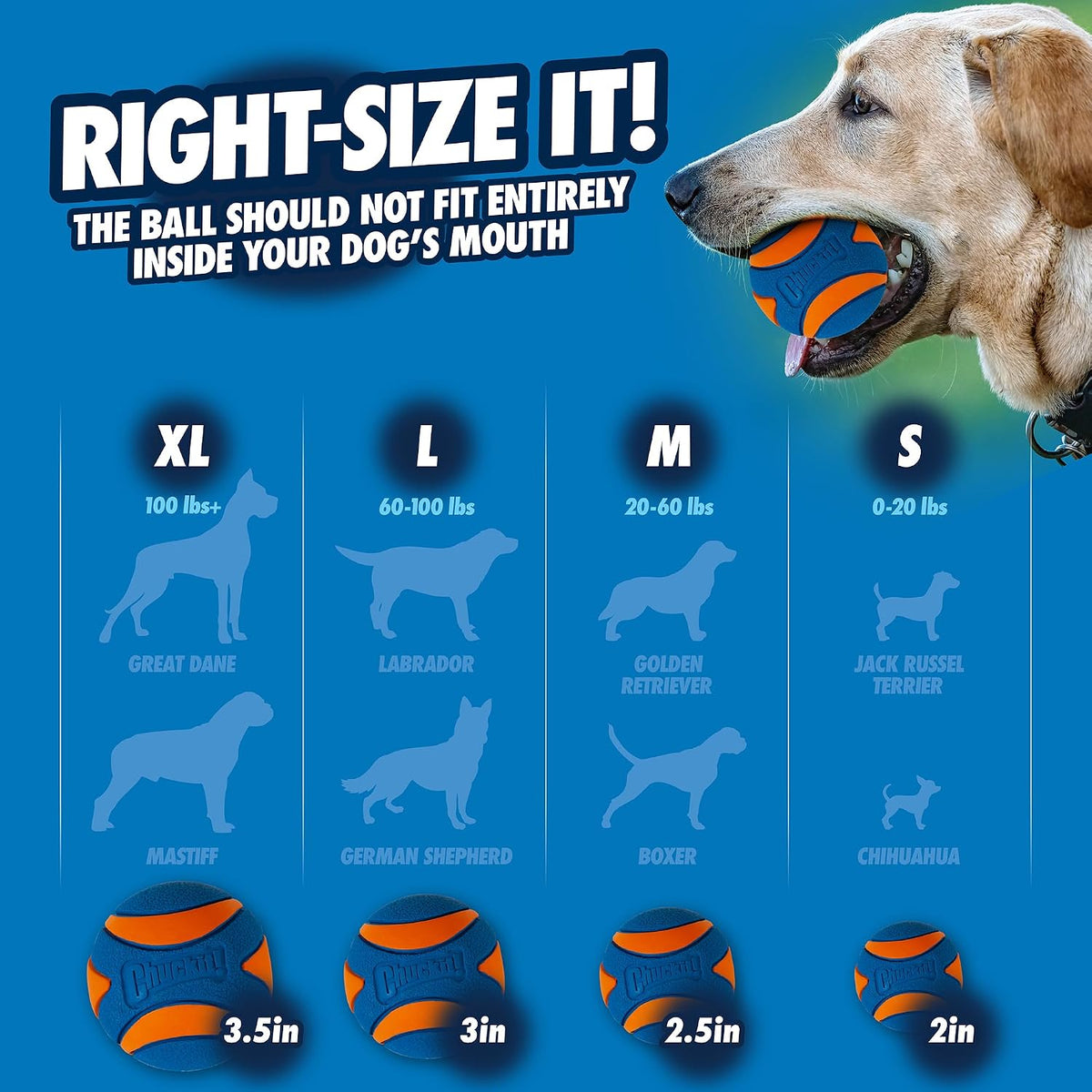 Chuckit Ultra Squeaker dog toy packaging and product label
