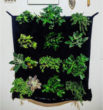 Delectable Garden 12 pocket hanging planter installed on indoor wall