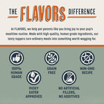 BEAUMONT BASICS grain free dog gravy mix combined with water to create savory broth.