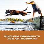 Five active joint ingredients highlighted on the Grizzly Pet Products Liquid Joint Aid packaging