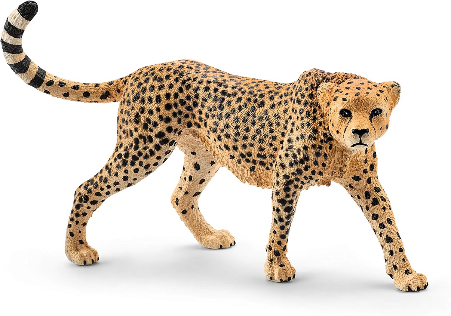 Schleich Wild Life Realistic Female Cheetah Figurine - Authentic and Highly Detailed Wild Animal Toy, Durable for Education and Fun Play for Kids, Perfect for Boys and Girls, Ages 3+ - Image 1