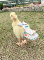 HEZHUO adjustable chicken diaper inner waterproof lining close up view