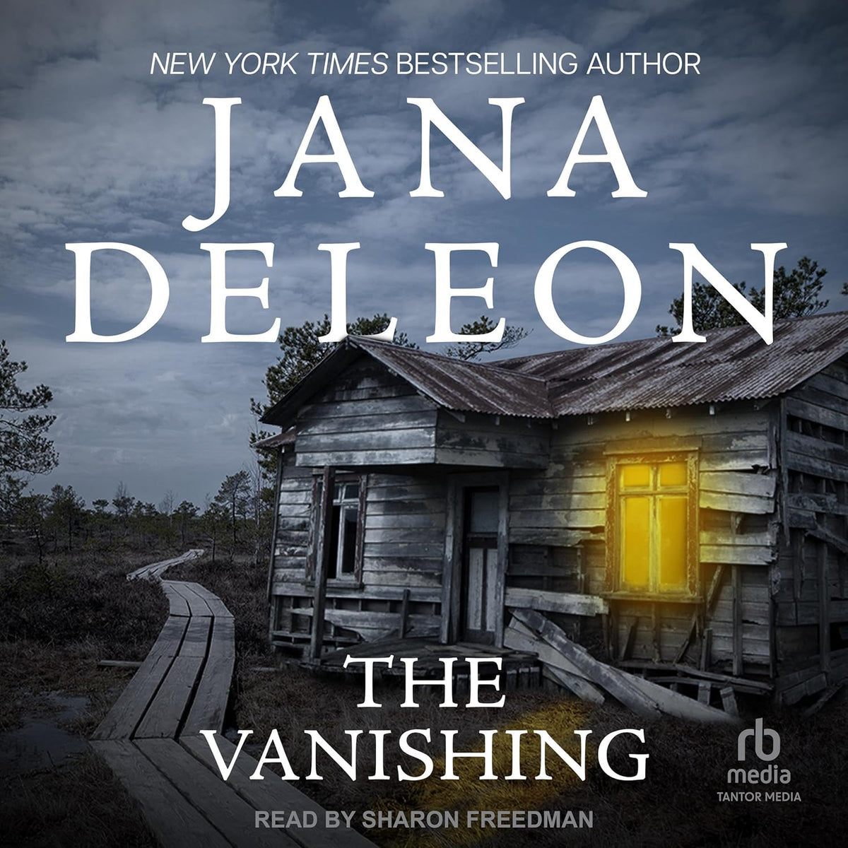The Vanishing: Mystere Parish, Book 2 - Image 1