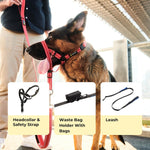 Zevey dog harness buckle and safety strap detail