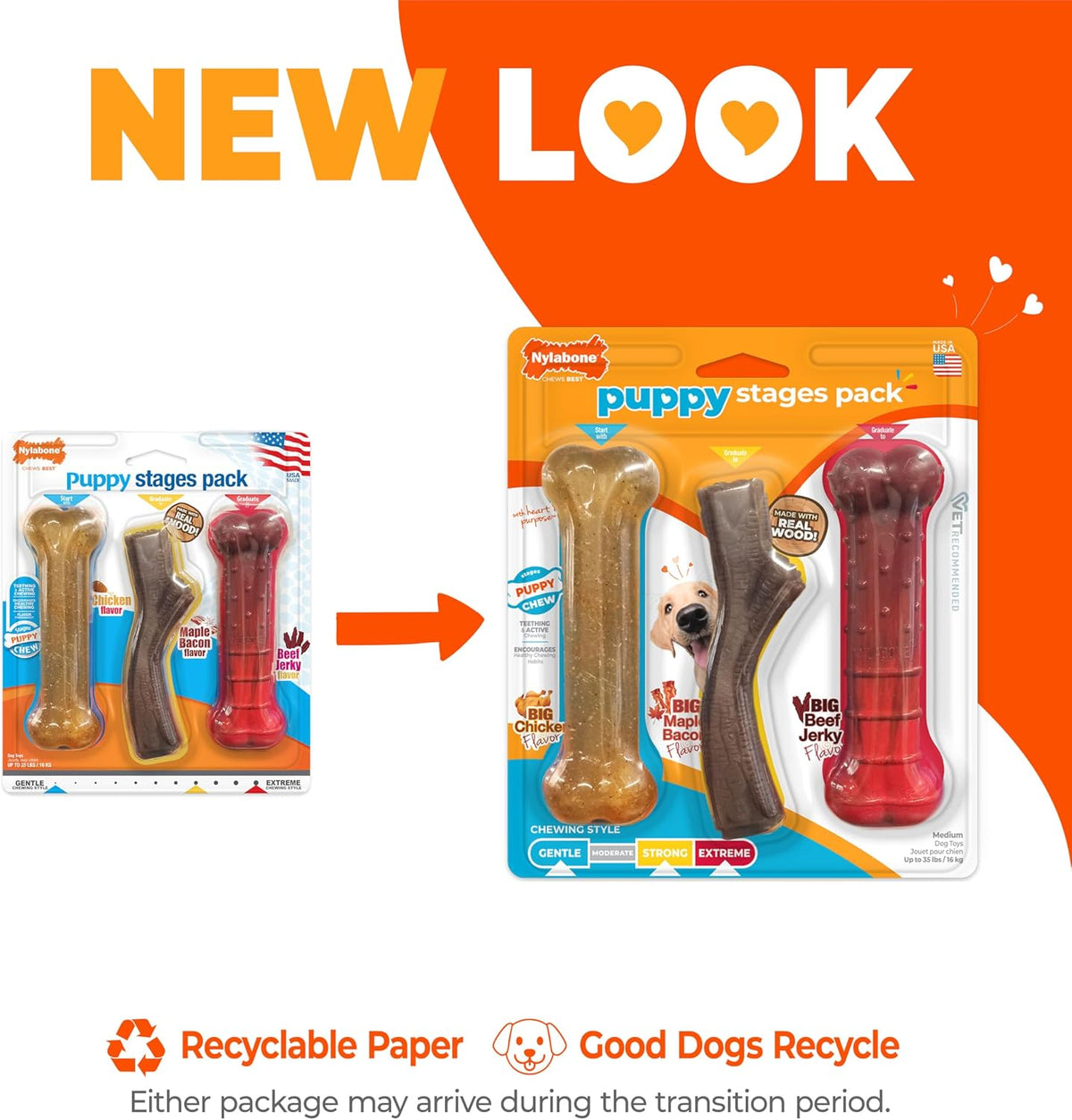 Nylabone chicken flavored soft puppy bone for teething relief