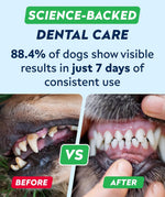 Soft texture of Strellalab dental chews for dogs