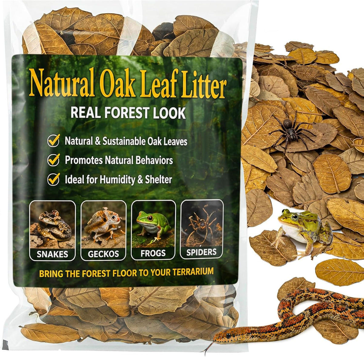 MAQIHAN Dry Oak Leaf Litter for Reptiles - 5 oz Whole Natural Oak Leaves Substrate for Isopods & Bioactive Terrarium Forest Floor Habitat, Premium Enclosure Bedding - Image 9