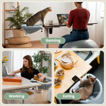 Junspow cat desk bed showing interior space for cat