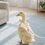 Waterproof inner lining pocket of reusable duck diaper garment