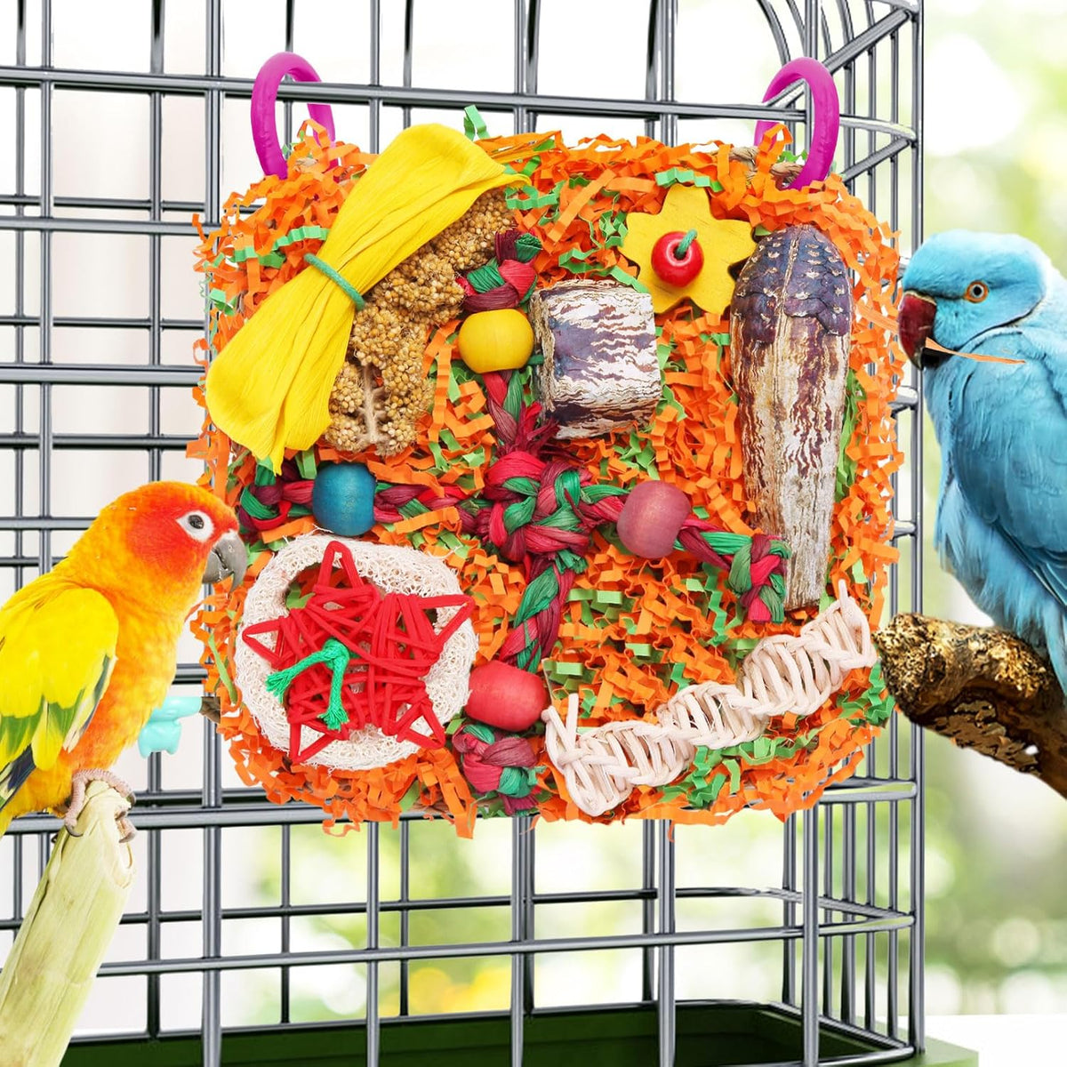 Bird cage activity center featuring natural starfruit accents and loofah layers