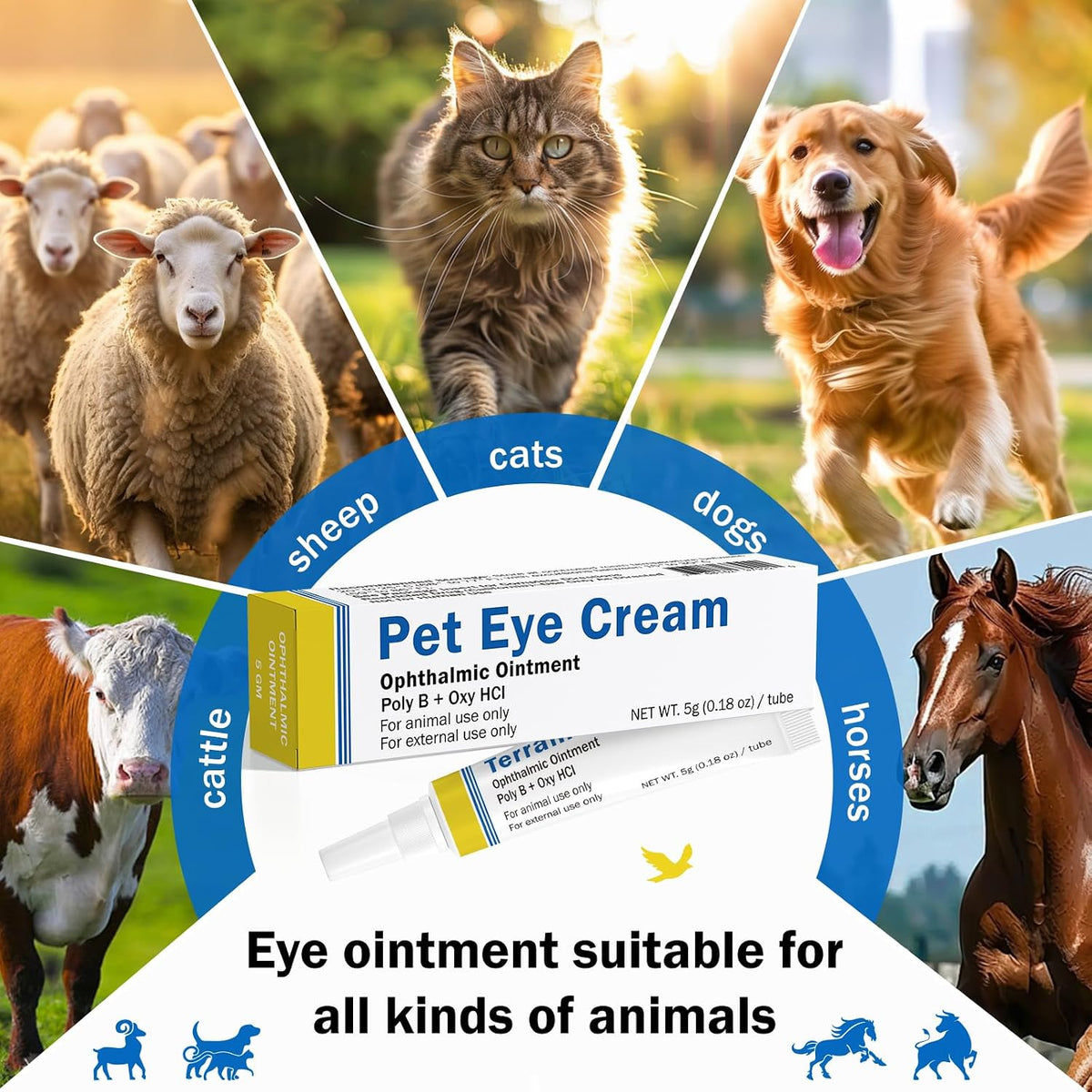 Sterile ophthalmic ointment five grams tube for animal eye infections