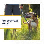 Durable Tubelok reflective dog strap for safe night walking