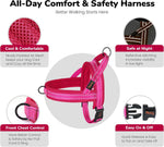 Durable nylon step in dog harness showing night safety reflective lines